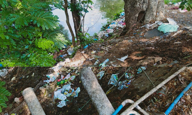 Pollution Increases at River Netravati: Raises Concern on Sewage Flow to The Crucial Water Source For DK District