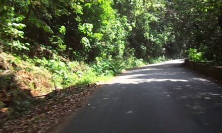 Movement of Heavy Vehicles Banned on Agumbe Ghat Till September 30: Spread The Word
