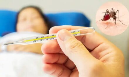 Dengue Cases on Rise in DK: District Health Officials Give Measures to Prevent Mosquito Breeding