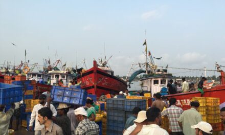 Mechanised Fishing Ban For 61 Days Began on June 1
