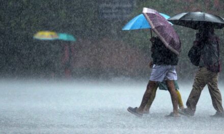 Mangalore to Receive Heavy Rainfall Till June 15: Red Alert Issued