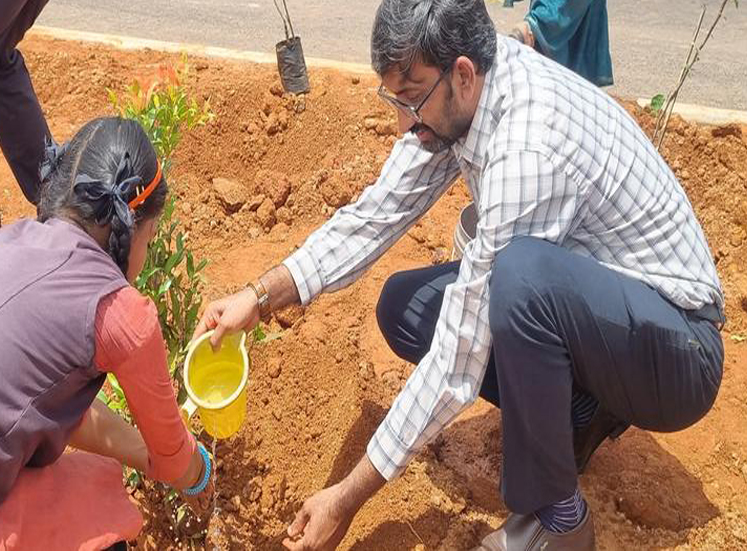 NHAI Observes World Environment Day: Saplings Were Planted on National Highways