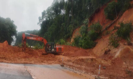 Landslip on Mangalore-Bangalore National Highway Disrupts Traffic Movement: Know more