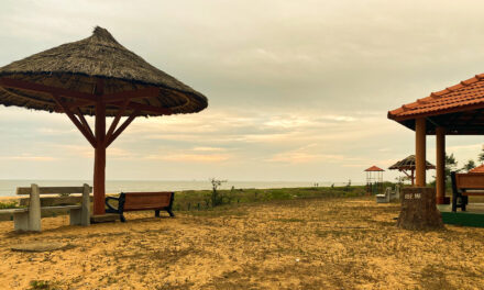 Tannirbhavi Beach Stretch Known as Beach – 2 Recognized As Blue Flag Beach: Click to Know More