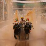 Udupi Kambala Association Gets Government’s Recognition