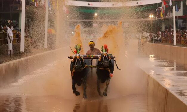 Udupi Kambala Association Gets Government’s Recognition