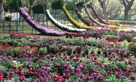 Floral Replica of Vande Bharat to be The Main Attraction at Mangalore’s Kadri Park Flower Show: Click to Know