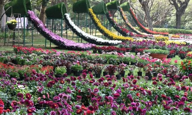 Floral Replica of Vande Bharat to be The Main Attraction at Mangalore’s Kadri Park Flower Show: Click to Know