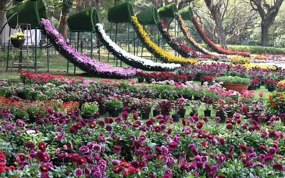 Floral Replica of Vande Bharat to be The Main Attraction at Mangalore’s Kadri Park Flower Show: Click to Know